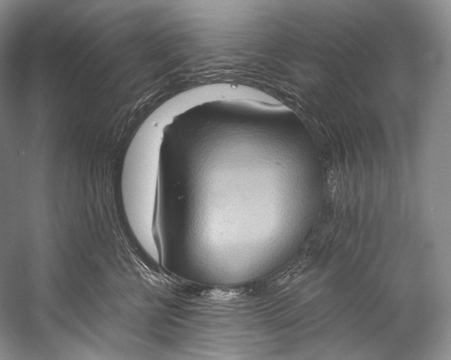 X0000058820570200510171540