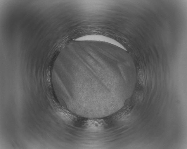 X0000058820571200510171540