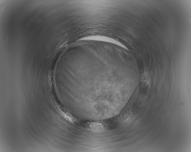X0000058820572200510171540