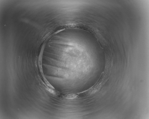 X0000058820576200510171540