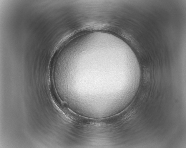 X0000058820582200510171539