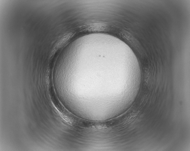 X0000058820586200510171539