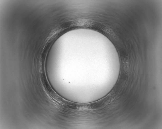 X0000058820587200510171539