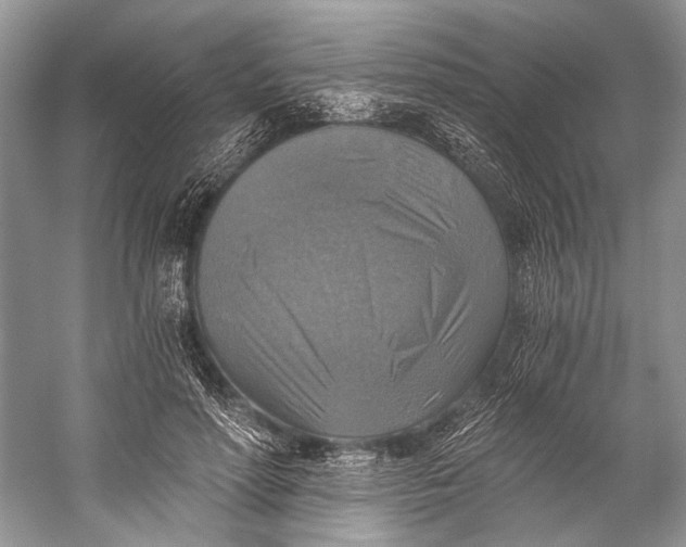 X0000058820598200510171539