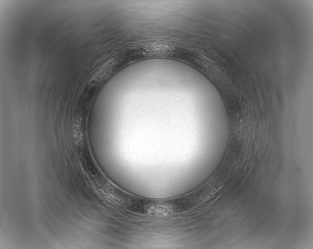 X0000058820599200510171539
