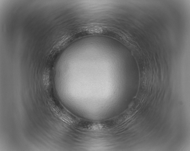 X0000058820600200510171539