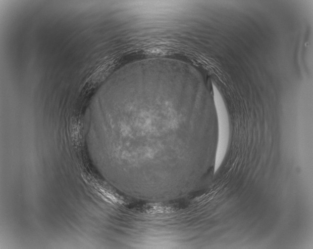 X0000058820601200510171539