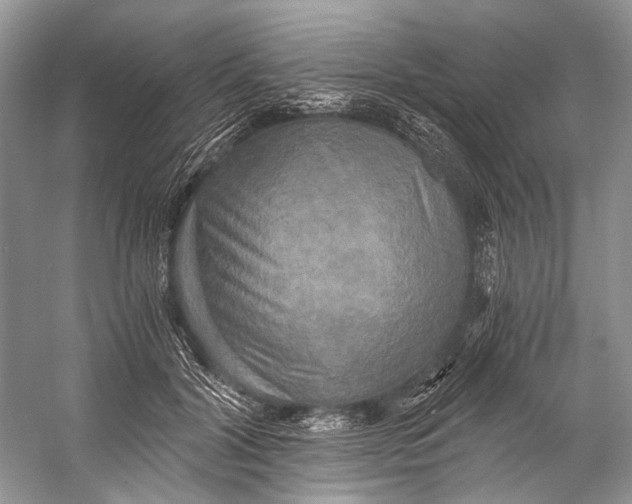 X0000058820604200510171539