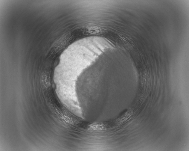 X0000058820606200510171539