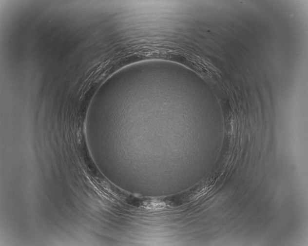 X0000058820607200510171539