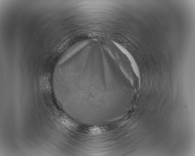 X0000058820616200510171539