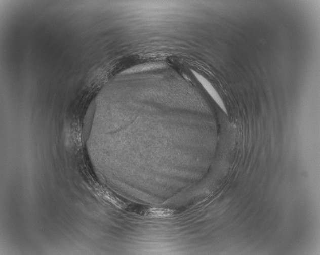 X0000058820617200510171539
