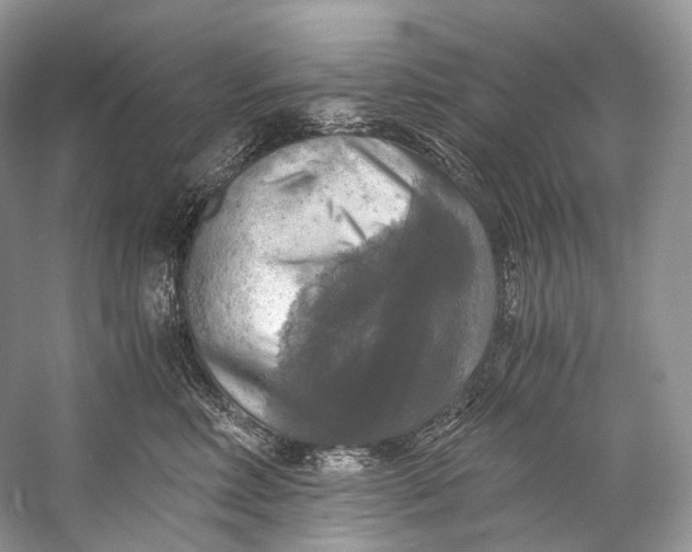 X0000058820618200510171539