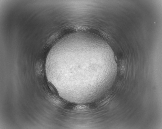 X0000058820619200510171539