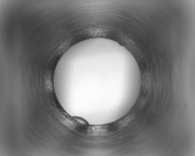 X0000058820622200510171538