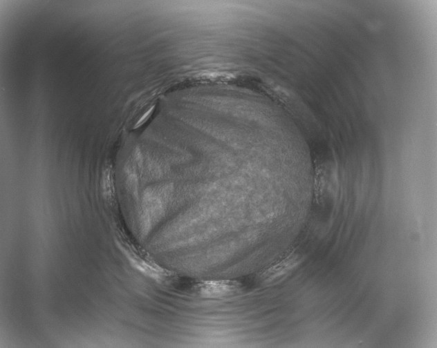 X0000058820623200510171538