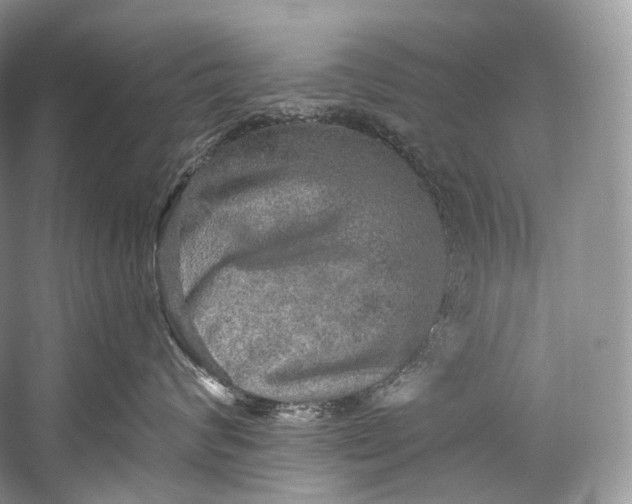 X0000058820624200510171538