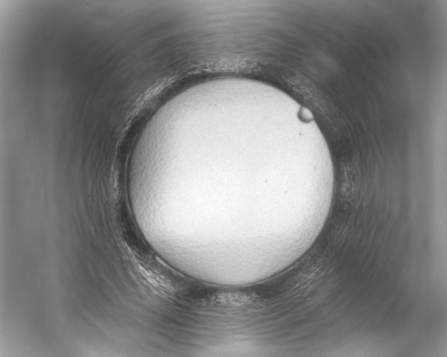 X0000058820636200510171538