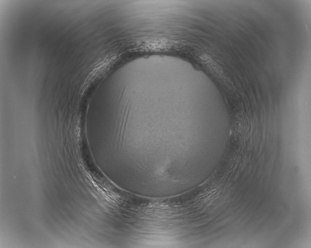 X0000058820640200510171538