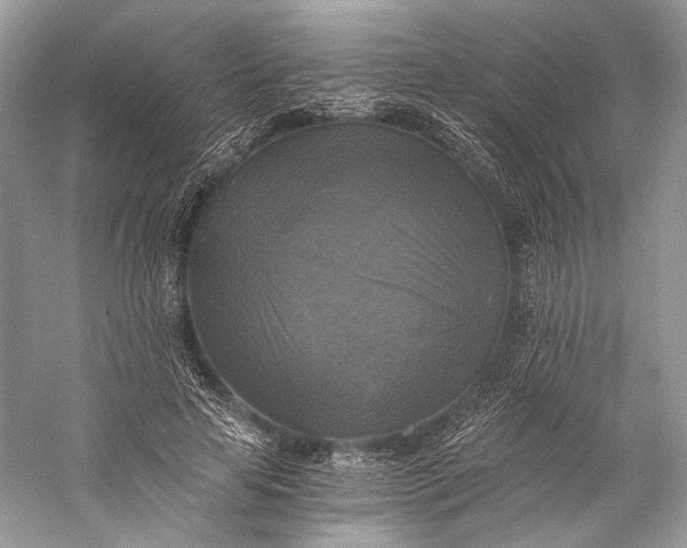 X0000058820641200510171538