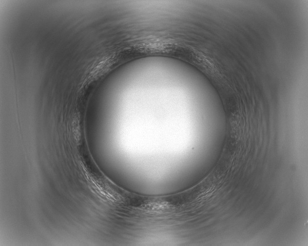 X0000058820642200510171538