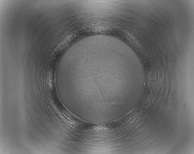 X0000058820644200510171538