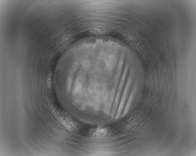 X0000058820647200510171538