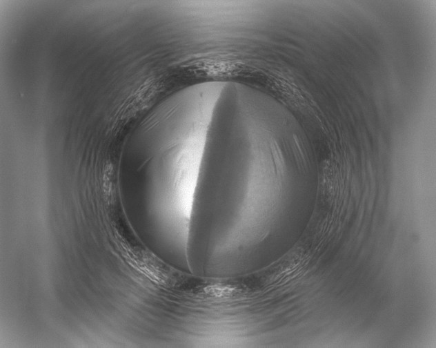 X0000058820650200510171538