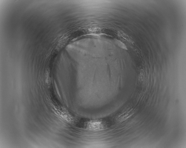 X0000058820651200510171538