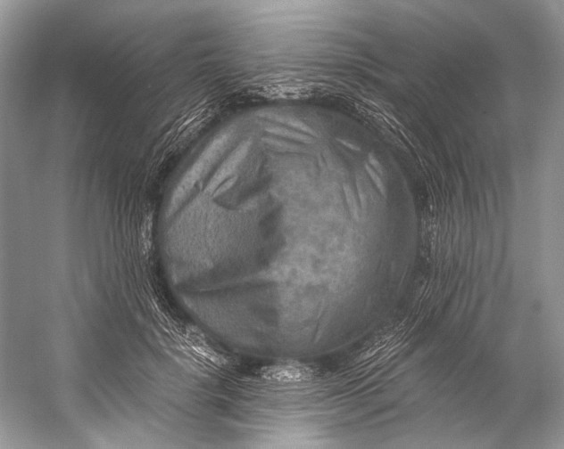 X0000058820652200510171538