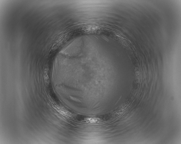 X0000058820654200510171538