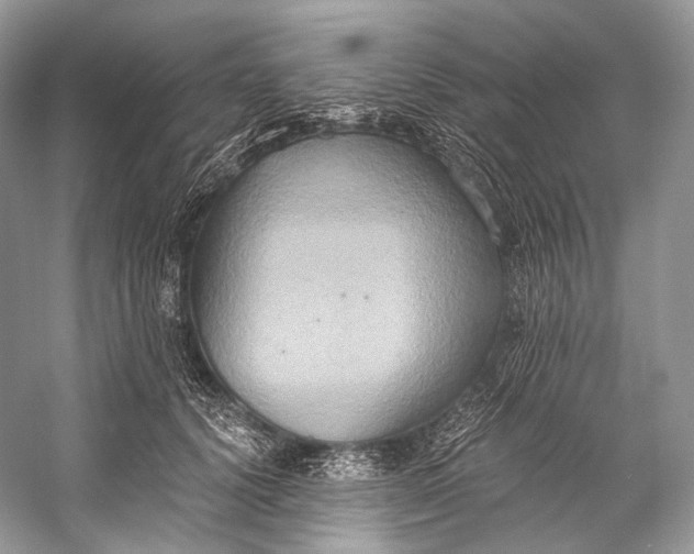X0000058820656200510171538