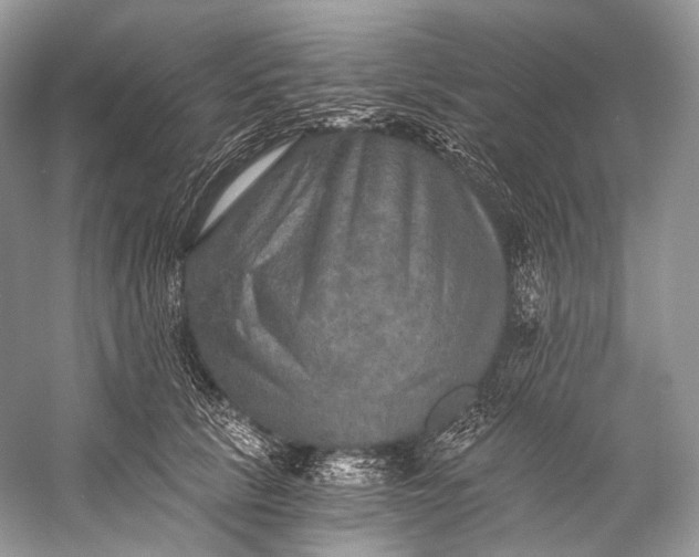 X0000058820657200510171538