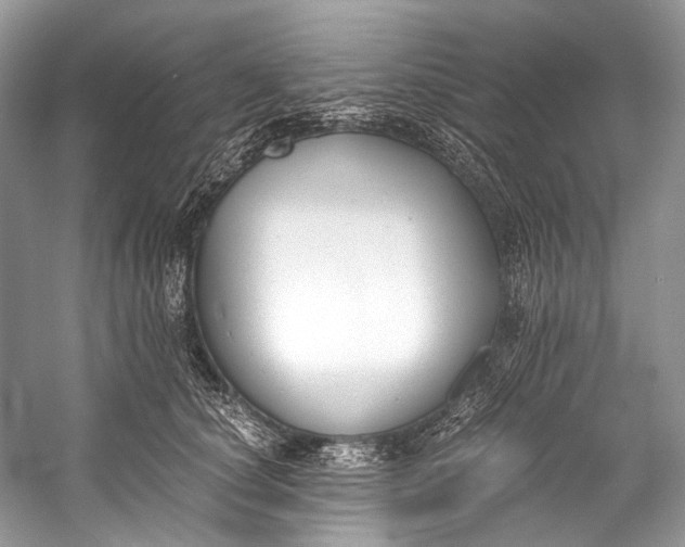 X0000058820660200510171538