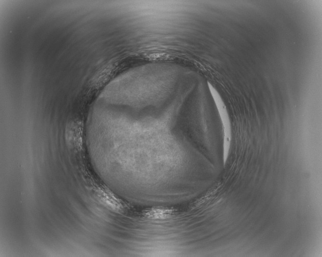 X0000058820664200510171538