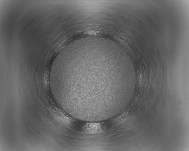 X0000058820665200510171538