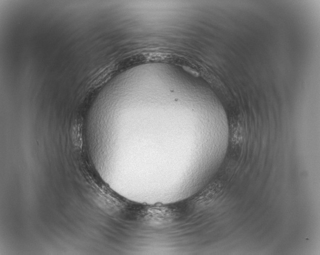 X0000058820666200510171538