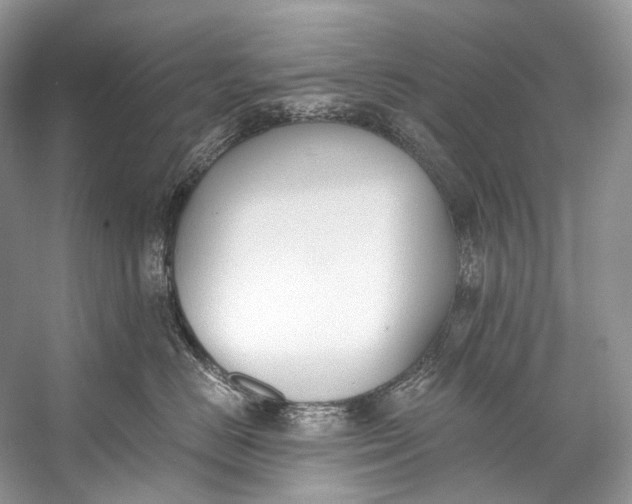X0000058820670200510171538