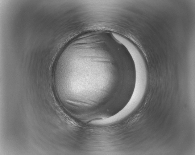X0000058820673200510171538