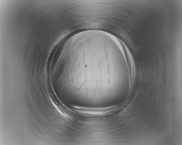 X0000058820674200510171538