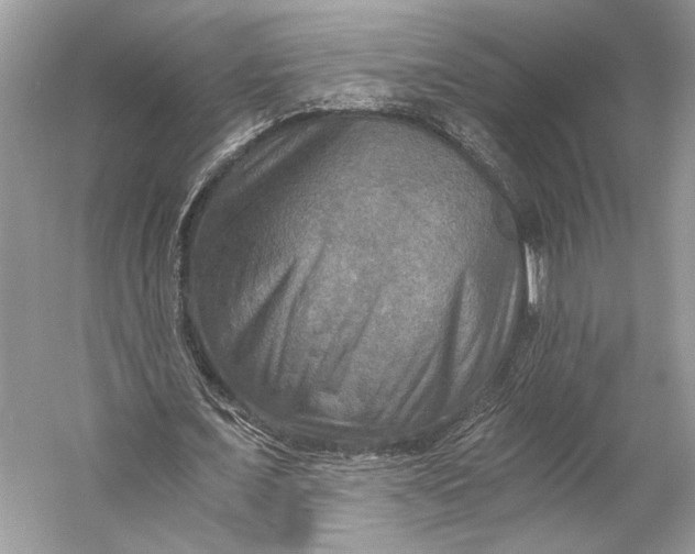 X0000058820675200510171538