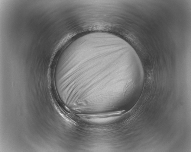 X0000058820678200510171538