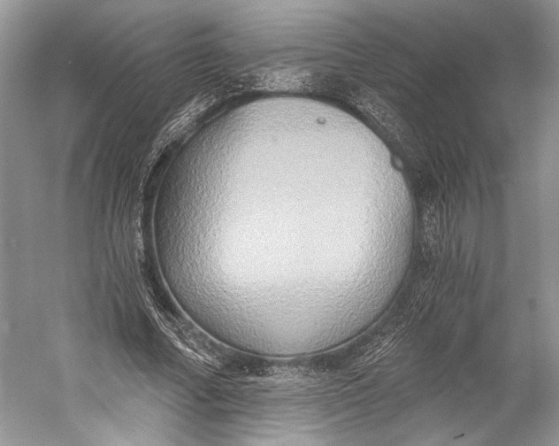 X0000058820682200510171537