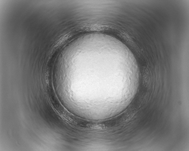 X0000058820683200510171537
