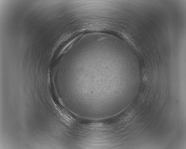 X0000058820685200510171537