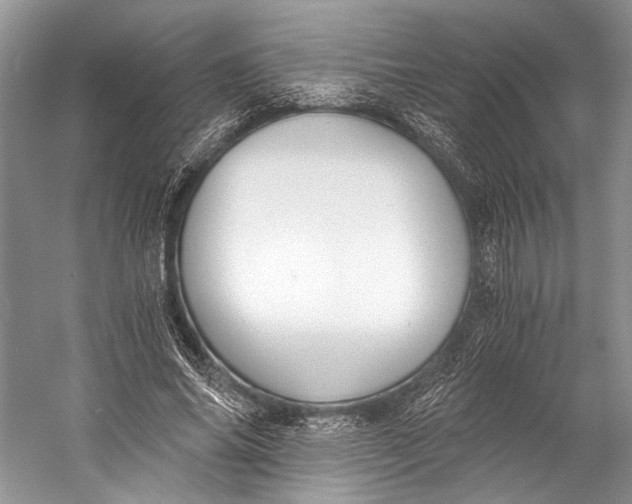 X0000058820686200510171537