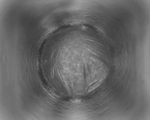 X0000058820687200510171537