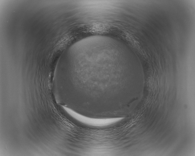 X0000058820689200510171537
