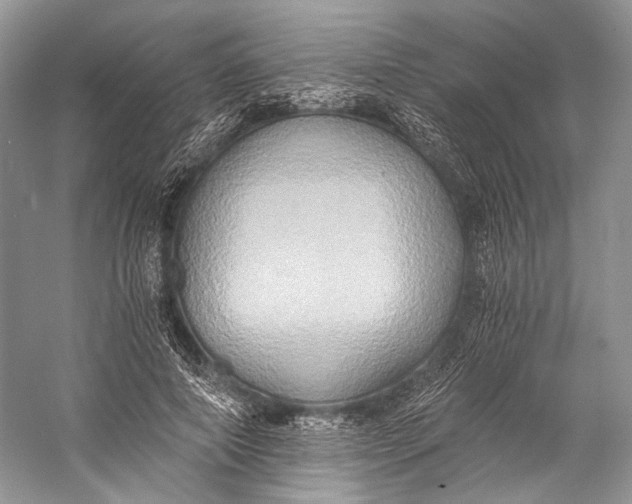 X0000058820690200510171537