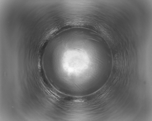 X0000058820692200510171537